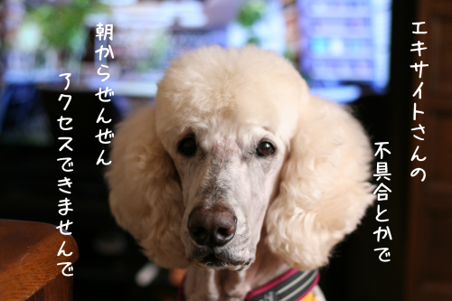 a0216583_17295764.png