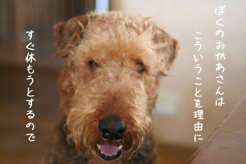 a0216583_17300963.png