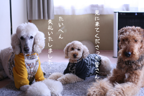 a0216583_17301655.png