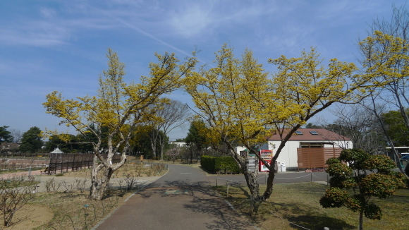 c0212083_17594700.jpg