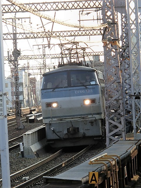 d0181492_22000848.jpg