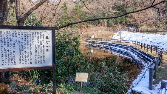 e0176993_07475287.jpg