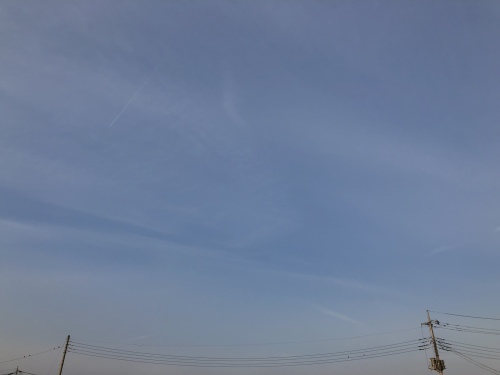 f0215094_16561522.jpeg