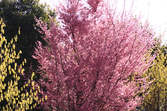 d0248502_08061195.jpg