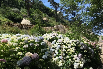f0080102_14562564.jpg