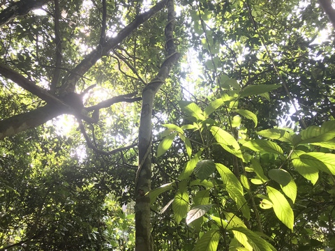 c0212604_21471930.jpg
