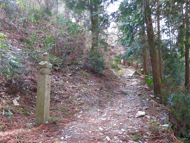 d0360104_21372661.jpg
