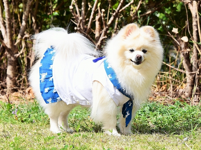 春を愛して_d0360206_02352801.jpg