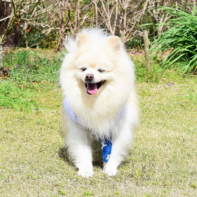 春を愛して_d0360206_02355842.jpg