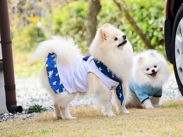 春を愛して_d0360206_02382993.jpg