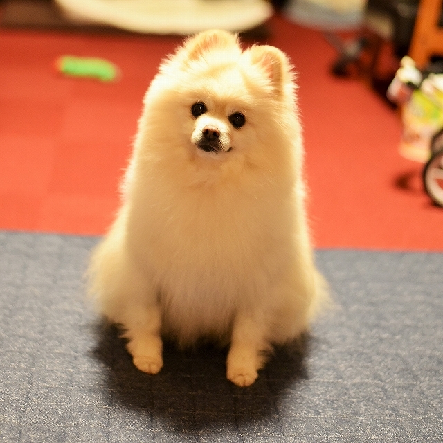 年をとるということ_d0360206_23385474.jpg