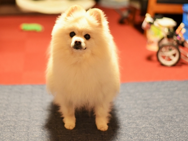 年をとるということ_d0360206_23390373.jpg