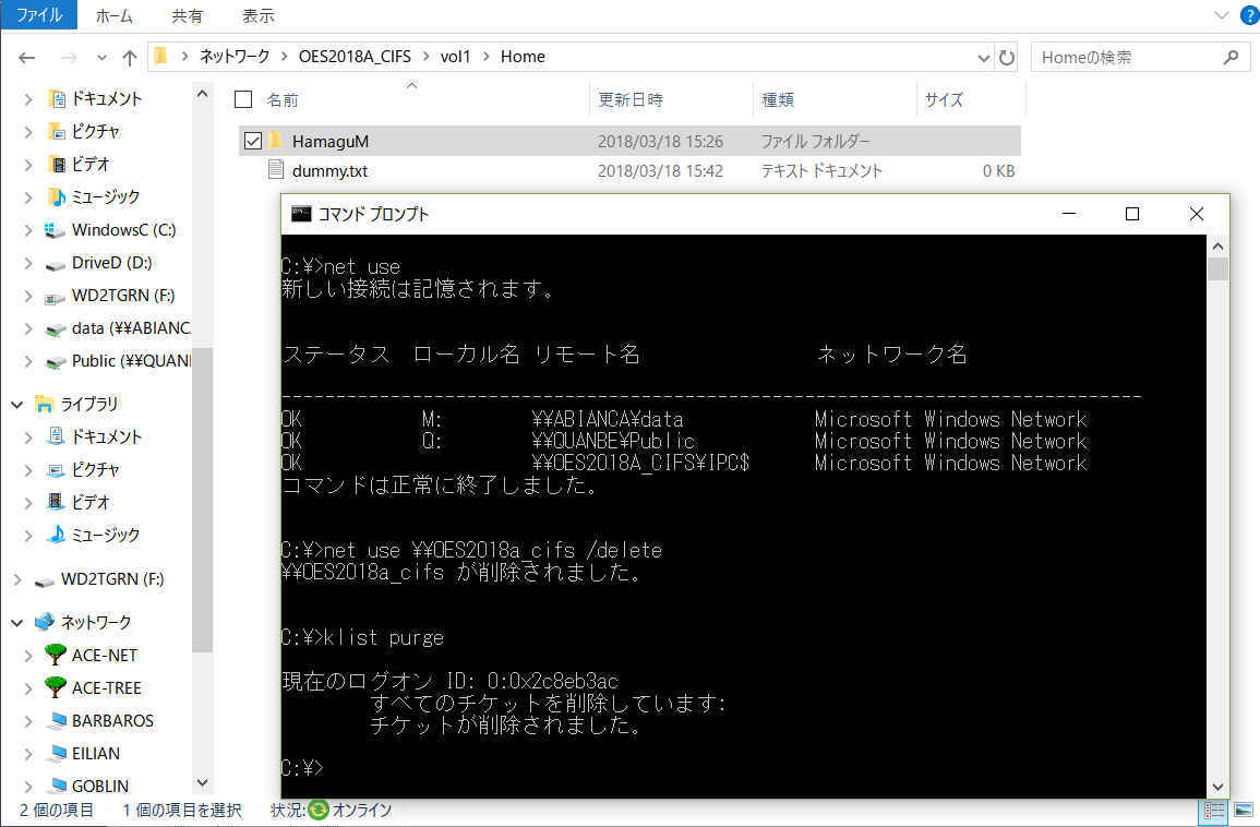 ログオフなしでファイルサーバーとのセッションを切断するには-資格情報の削除_a0056607_13354738.jpg