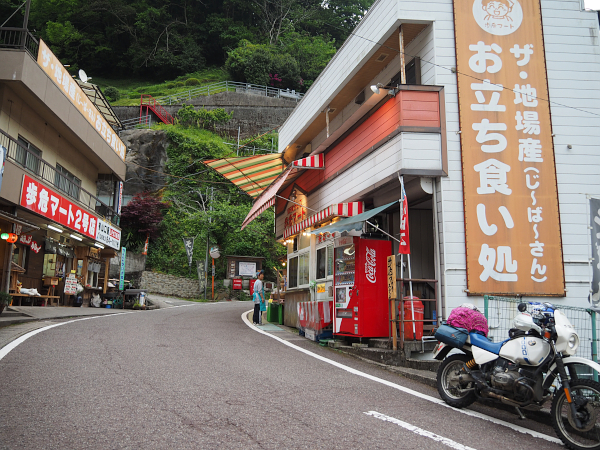 四国・岬巡りの旅３９（かずら橋～祖谷峡）_f0180607_16504765.jpg