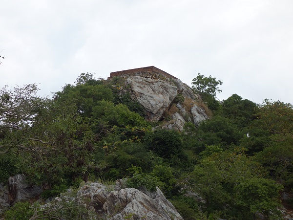 d0360509_1973968.jpg