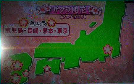 f0231709_17205098.gif