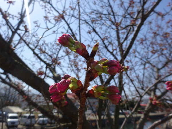 f0231709_21005999.jpg