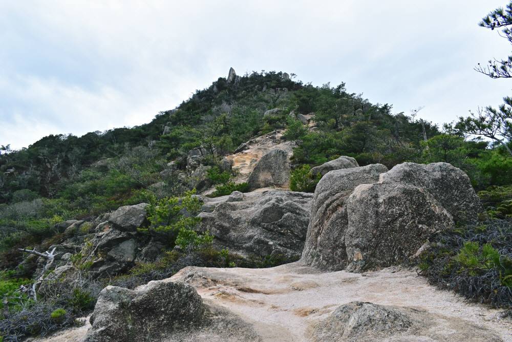 f0212511_23095104.jpg