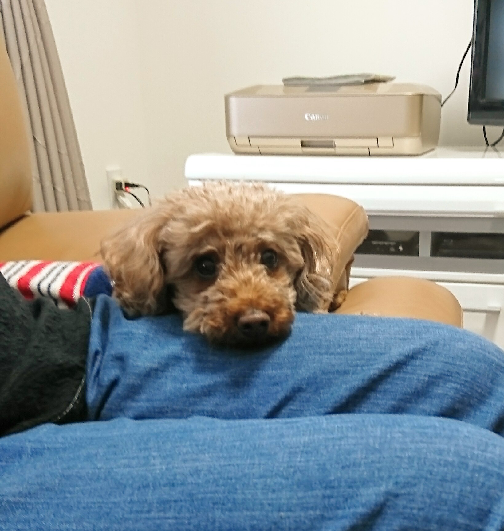 パセリのお風呂 ゆうやと一緒に歩む道 パセリのお風呂 ゆうやと一緒に歩む道