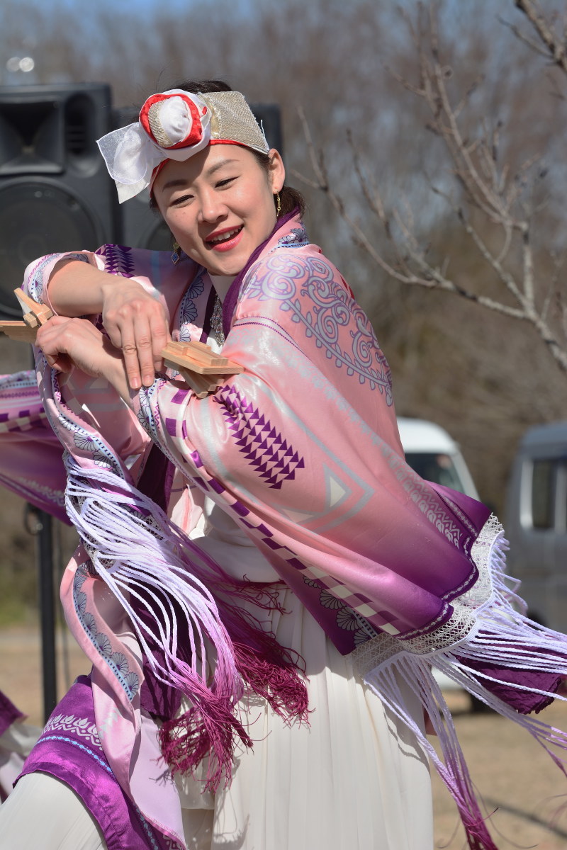 第4回　飯能・日高鍋まつりin巾着田・鍋まつり新春よさこい　「よさこい塾☆よっしゃ」さん　埼玉県鶴ヶ島市_c0276323_11065966.jpg