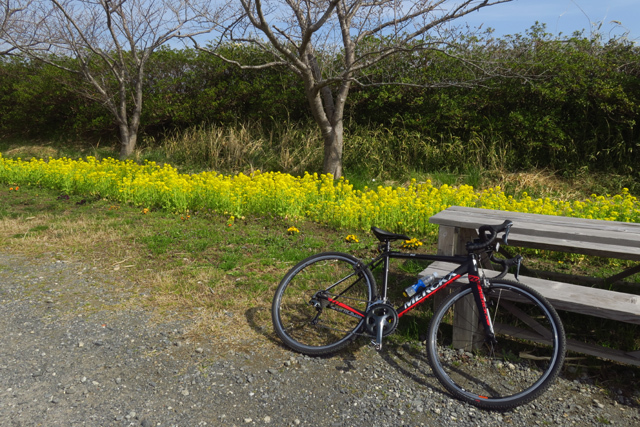 印旛沼サイクリングロード ４回目 Nakaの泥轍日記
