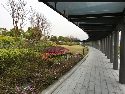 f0371533_15463562.jpg