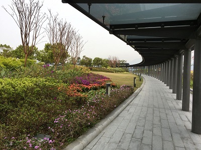 世界で最も危険な空港と言われた旧啓徳空港へ遊びに行く☆The Most Dangerous Airport in The World, Kai Tak Airport_f0371533_15463562.jpg