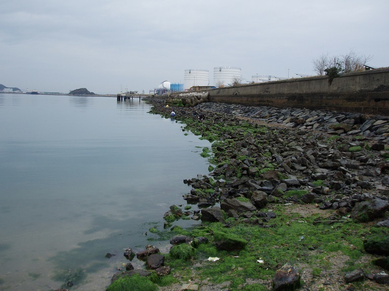 a0168536_21153765.jpg