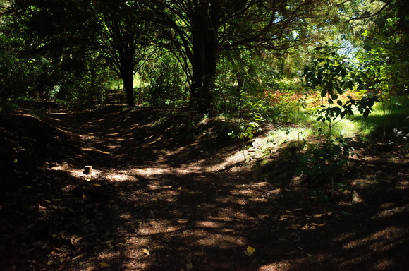 ニュージーランド旅行8日目 その6～Mount Eden_a0287336_159468.jpg