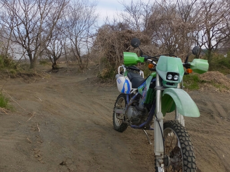 d0378837_20405928.jpg