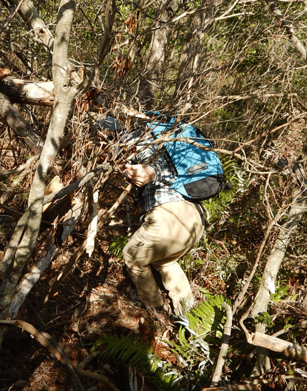 e0371039_19303774.gif