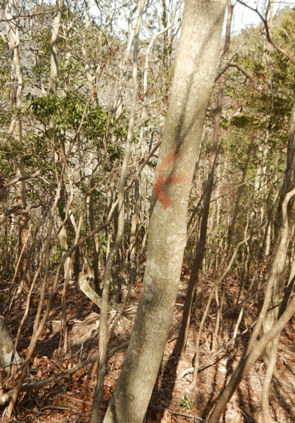 e0371039_1932195.gif