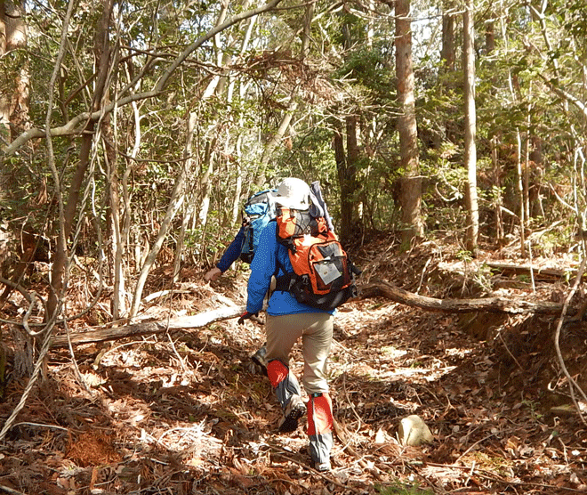 e0371039_19325888.gif