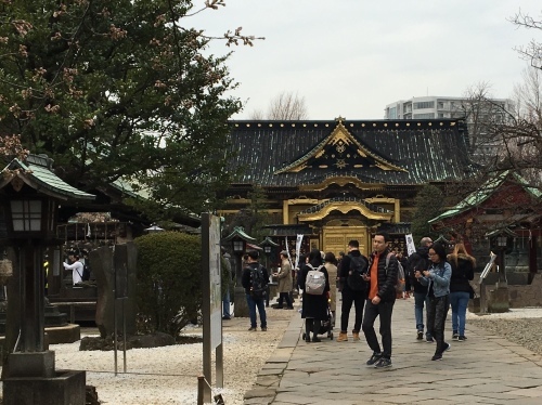 b0330040_17431399.jpeg