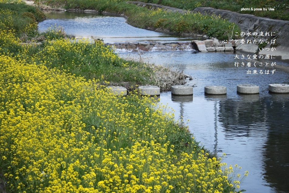 f0351844_16031826.jpg