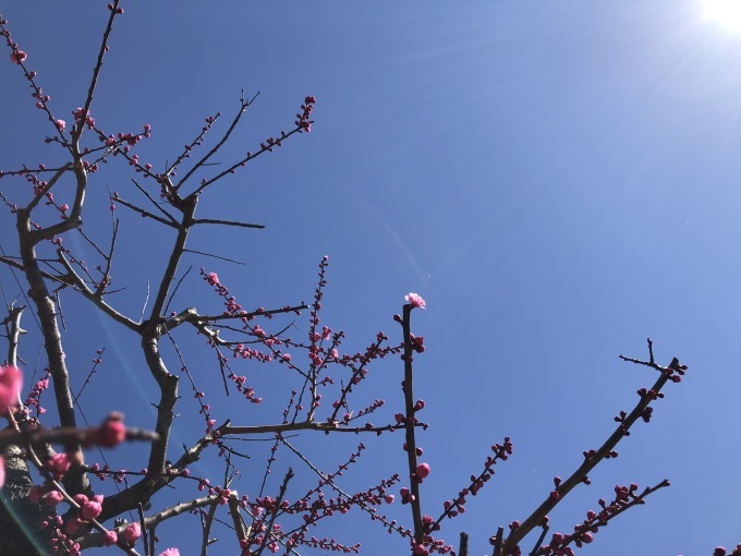 3月21日(水曜日) 祝日 の営業について_d0334060_14060771.jpg