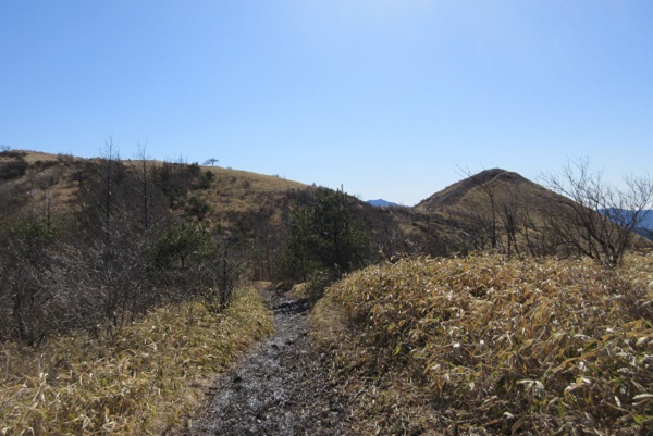 飯盛山　（長野県南佐久郡）_d0164761_09361000.jpg