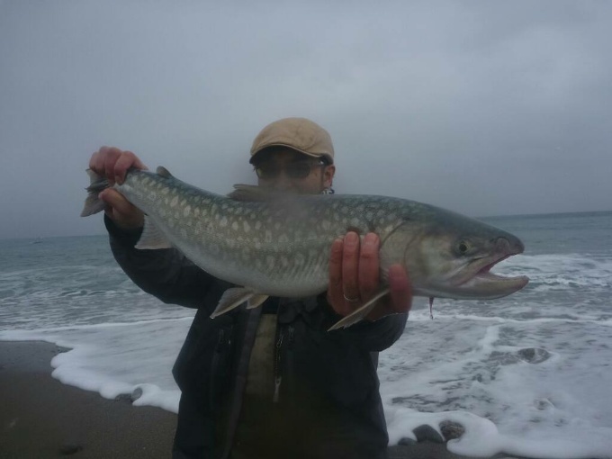 島牧海アメ釣行　快心の一尾　ー2泊３日合宿ー_c0351262_07293356.jpg