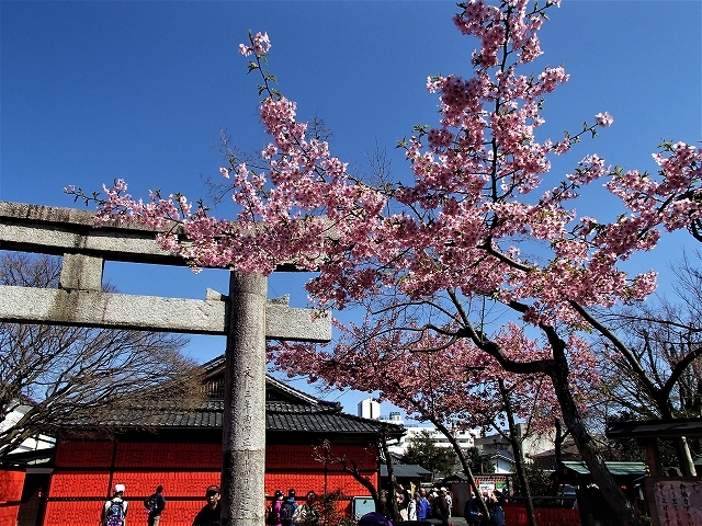 京都市交通局京都エリアウオーク「二条から歩く」_b0044663_17594308.jpg