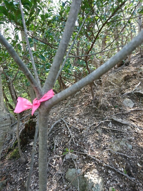 c0260463_06032349.jpg