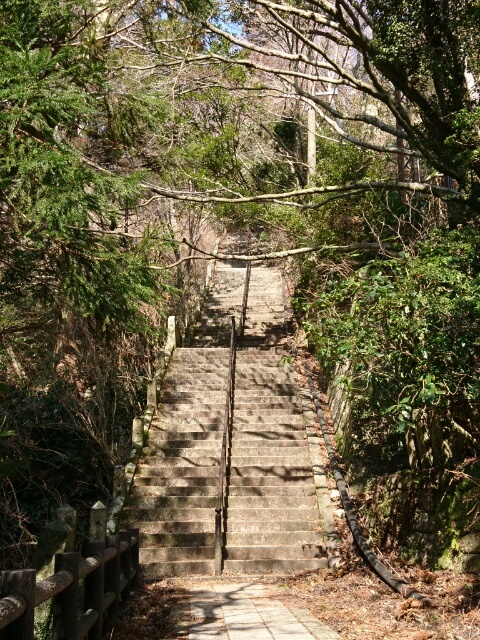c0260463_06195263.jpg