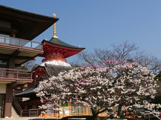 c0260463_06213595.jpg