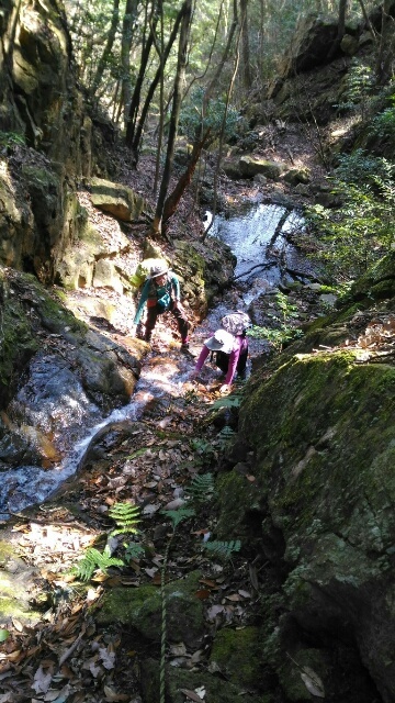 c0260463_06220565.jpg