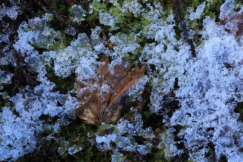 陽と陰、雪を融かす_e0304170_18552617.jpg