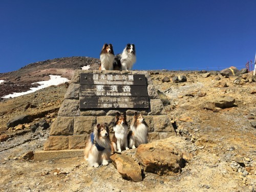 那須「ラッキーな皮切り」旅行・その１_a0157174_21541748.jpg