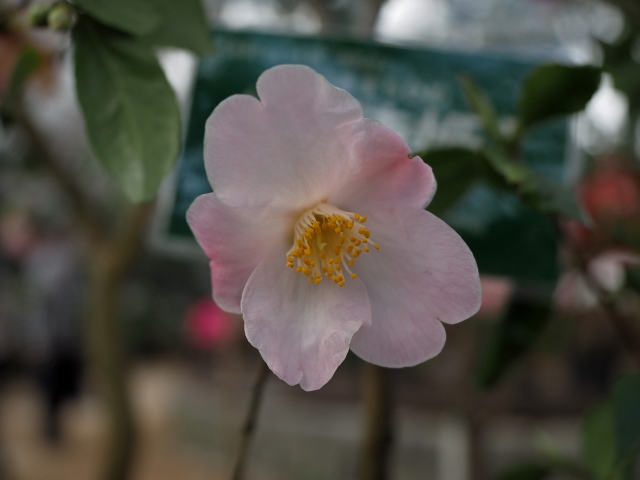 c0183777_72388.jpg