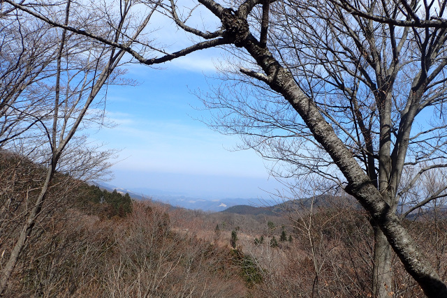a0035279_22352353.jpg