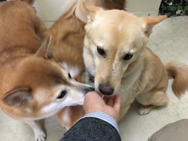 b0377882_18011305.jpeg