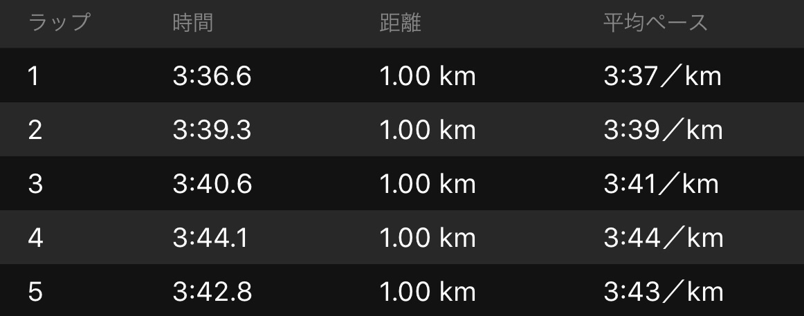 新シューズを投入♪_f0310282_19562482.jpeg