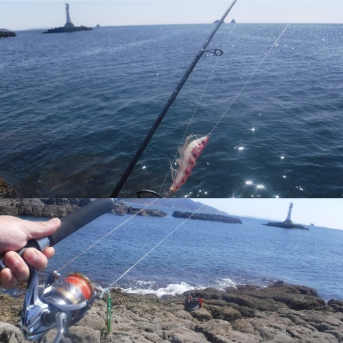 d0174683_02462487.jpeg